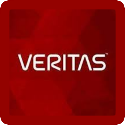 Veritas Technologies LLC